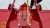 Почвофреза 1GQN-220 широкие пластины крепления Почвофреза 1GQN-220 широкие пластины крепления